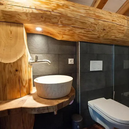 Chalet De L'ours Canadien Chalet Xonrupt-Longemer